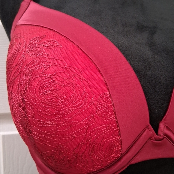 NEW Ambrielle' Blood Red Embroidered Roses Bra     Size 40D - Picture 3 of 8